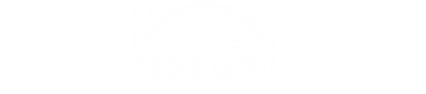 logo_dilux_white
